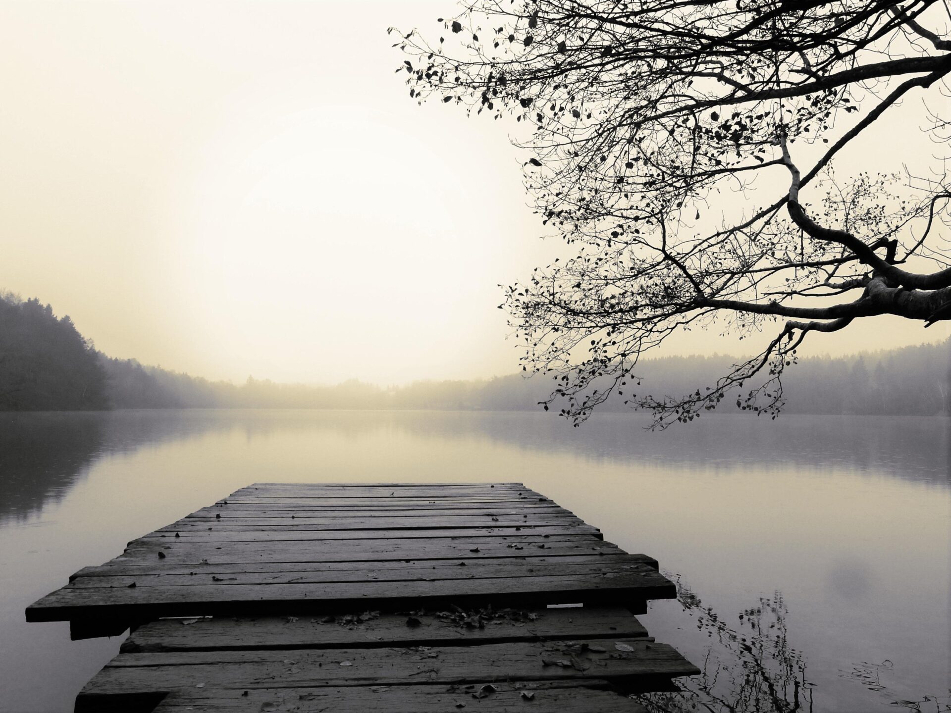 Stille
